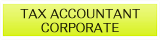 Tax Accountant Corporate