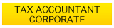 Tax Accountant Corporate
