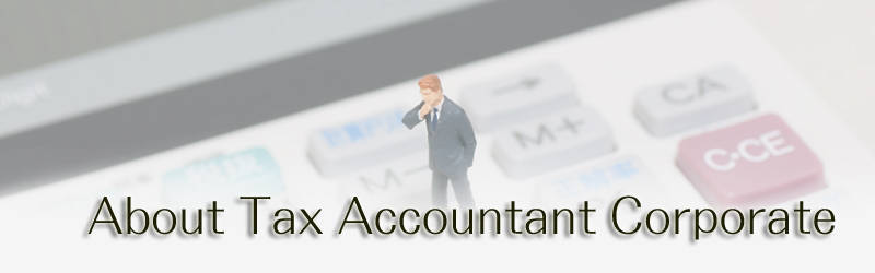 About Tax Accountant Corporate